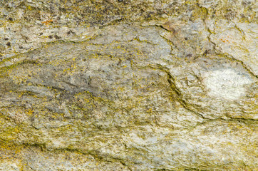 Rock texture