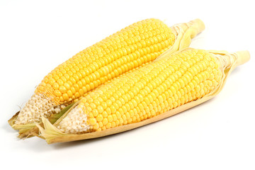 Fresh raw corn