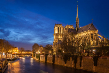 Plakat Notre Dame, Paris