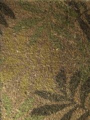 Alfombra con trama, diseño de naturaleza. Hojas.