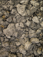 Textura suelo, tierra.