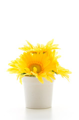 Bouquet flowers isolated on white