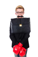 Young businessman boxer isolated on white