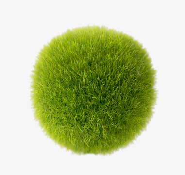 green grass ball
