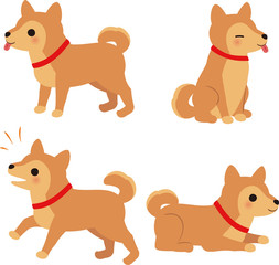 中型犬の4つのポーズ