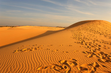 Deserts Landscape