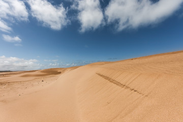Sahara desert
