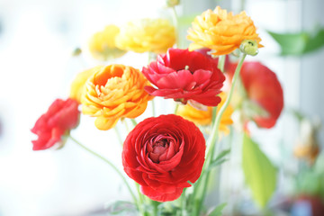 Букет ранункулюсов