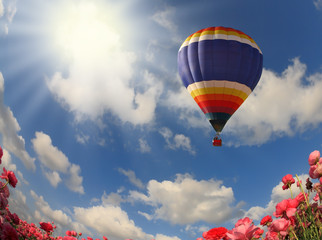 Spring in the south. Photo taken by lens Fisheye