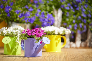 Outdoor gardening tools and flowers on old wood table