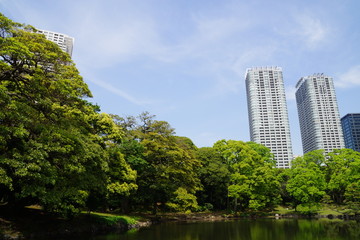 Fototapeta premium 都心の高層マンションと浜離宮