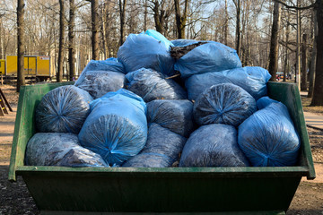 Fototapeta na wymiar garbage collection in the city park