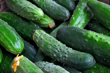 fresh cucumbers background