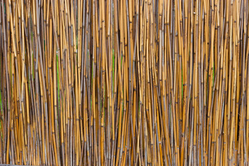 reed fence, texture