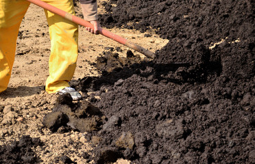 greening works of urban streets