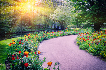 Spring landscape with colorful tulips - 64506367