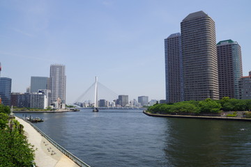 Obraz premium 隅田川 佃大橋からの景色