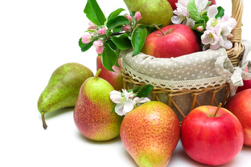 pears and apples in a basket closeup on a white background