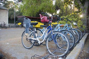 Fototapeta premium Bicycle parking