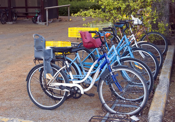 Bicycles in the kibutz