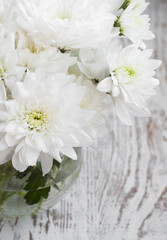 Naklejka na ściany i meble White Chrysanthemum