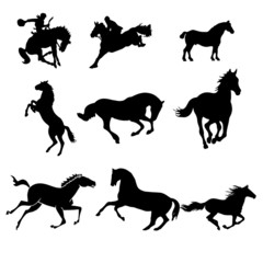 Stickers chevaux sauvages