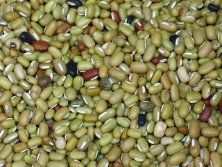 Mixed Colored Beans