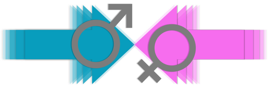 Male Vs Female Arrows