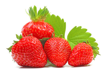 Frische Erdbeeren