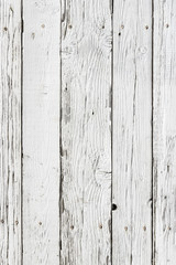 The white wood texture with natural patterns background