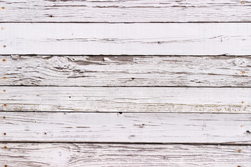 Obraz premium The white wood texture with natural patterns background