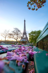 Fototapeta na wymiar Eiffel Tower during spring time in Paris, France