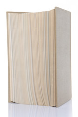 Book standing upright