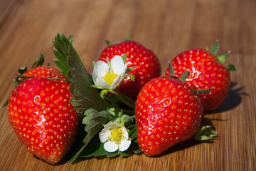 Erdbeeren