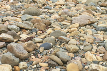 river stones submerged in shallow water