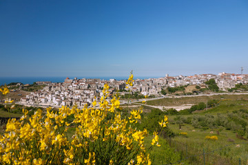 Apulien, Gargano, Vico del Gargano