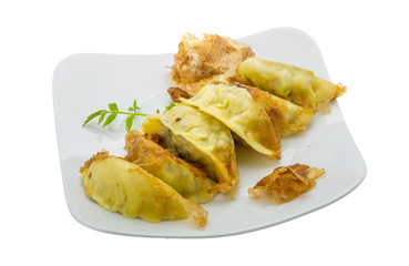 Japan dumplings - gyoza