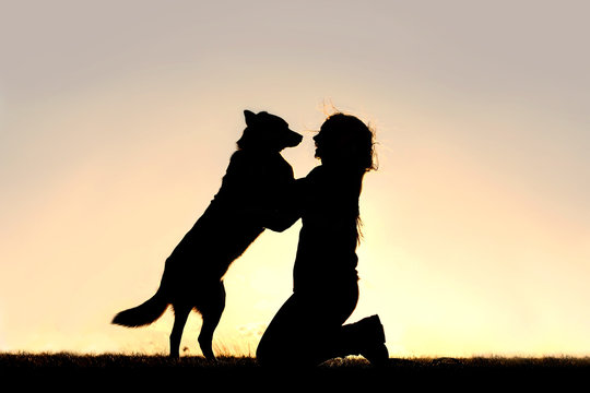 Happy Dog Jumping up to Greet Woman Silhouette