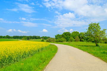 Fototapeta na wymiar Countryside road in rapeseed flower field, Burgenland, Austria