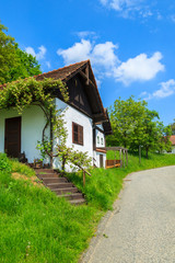 Fototapeta na wymiar Traditional cottage houses in wine making region, Austria