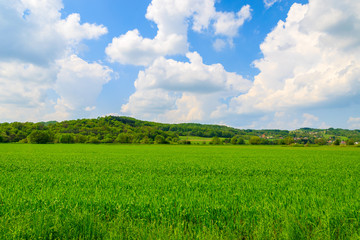 Green farming field and blue sky with white clouds, Austria