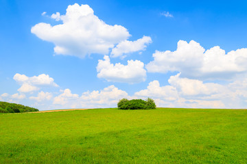 Fototapeta na wymiar Green field with blue sky in spring, Austria