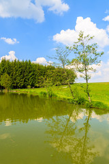Trees by the lake in countryside landscape in spring, Austria