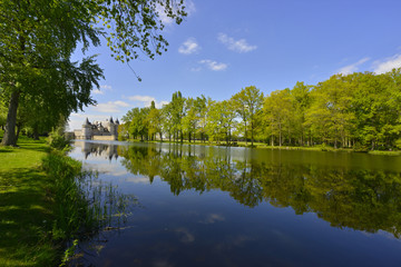 Fototapeta na wymiar château de Sully-sur-Loire (45600) et sa rivière, département du Loiret en région Centre-Val-de-Loire, France