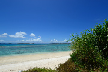 野甫島の美しい珊瑚の海と夏空