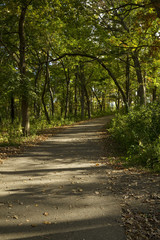 Fototapeta premium Fall Trail Scenic