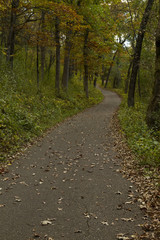 Fototapeta premium Fall Trail Scenic