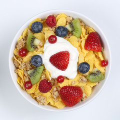Früchte Müsli mit Joghurt in Schale von oben