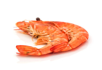 fresh shrimp isolated on a white background