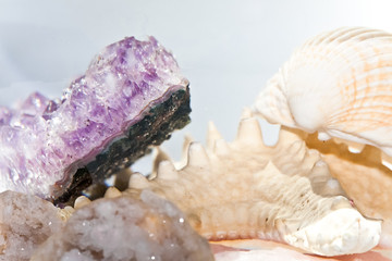 raw precious stones and shells